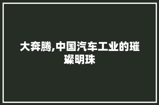 大奔腾,中国汽车工业的璀璨明珠