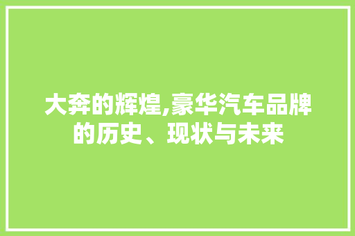 大奔的辉煌,豪华汽车品牌的历史、现状与未来