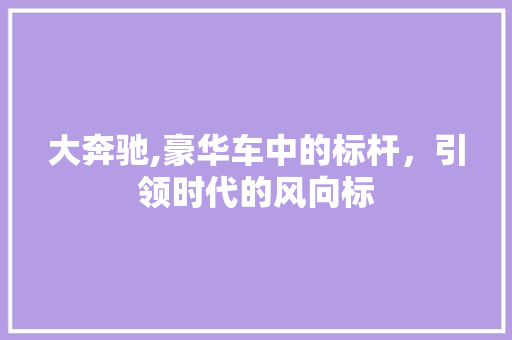 大奔驰,豪华车中的标杆，引领时代的风向标