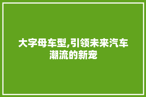大字母车型,引领未来汽车潮流的新宠