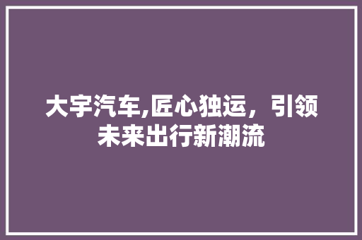 大宇汽车,匠心独运，引领未来出行新潮流