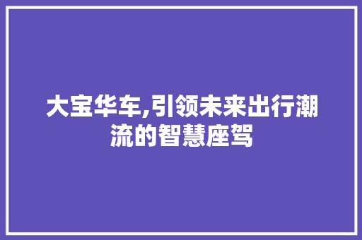 大宝华车,引领未来出行潮流的智慧座驾