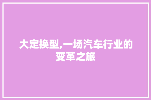 大定换型,一场汽车行业的变革之旅