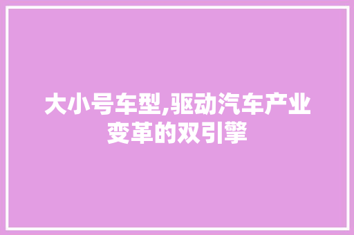 大小号车型,驱动汽车产业变革的双引擎