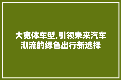 大宽体车型,引领未来汽车潮流的绿色出行新选择
