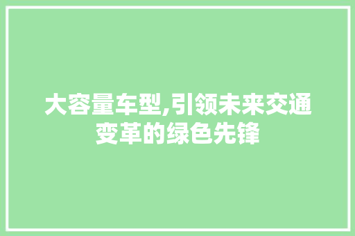 大容量车型,引领未来交通变革的绿色先锋