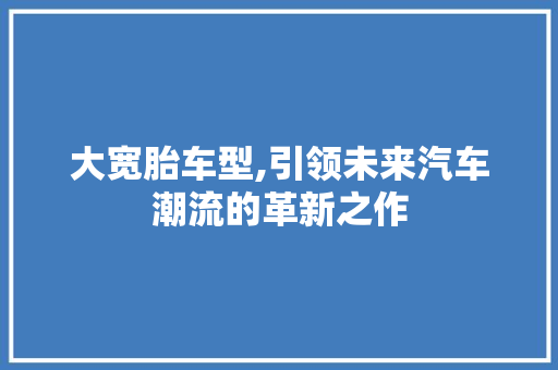 大宽胎车型,引领未来汽车潮流的革新之作