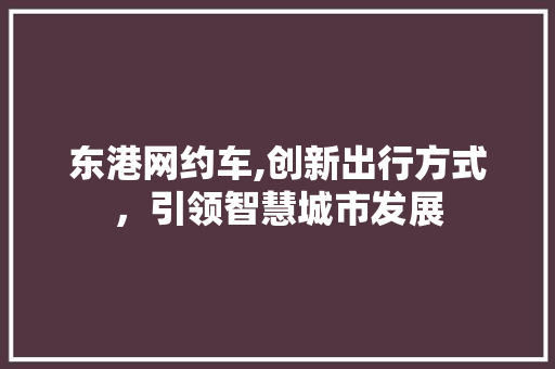 东港网约车,创新出行方式，引领智慧城市发展