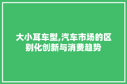 大小耳车型,汽车市场的区别化创新与消费趋势
