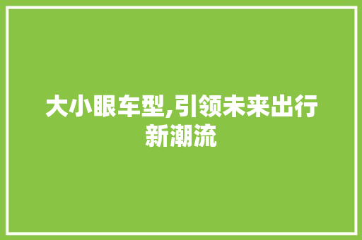 大小眼车型,引领未来出行新潮流