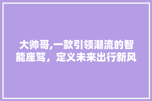 大帅哥,一款引领潮流的智能座驾，定义未来出行新风尚