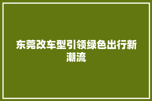 东莞改车型引领绿色出行新潮流 车身配件