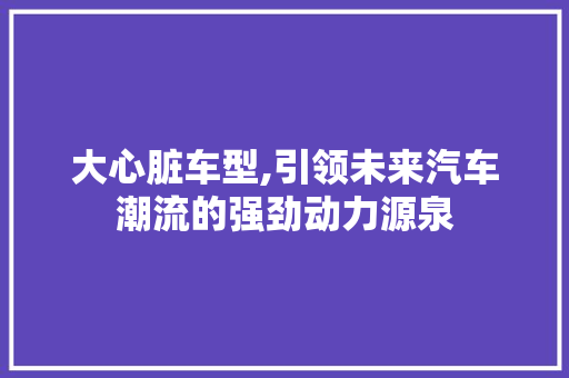 大心脏车型,引领未来汽车潮流的强劲动力源泉
