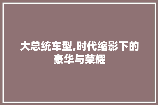 大总统车型,时代缩影下的豪华与荣耀