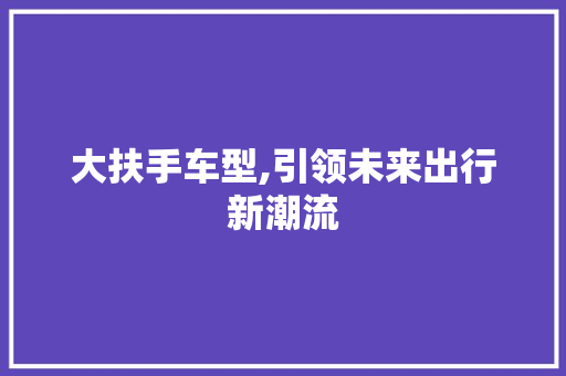 大扶手车型,引领未来出行新潮流