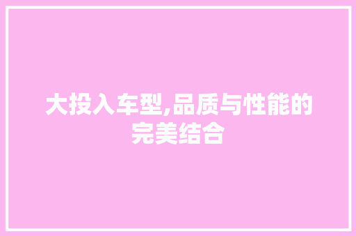 大投入车型,品质与性能的完美结合