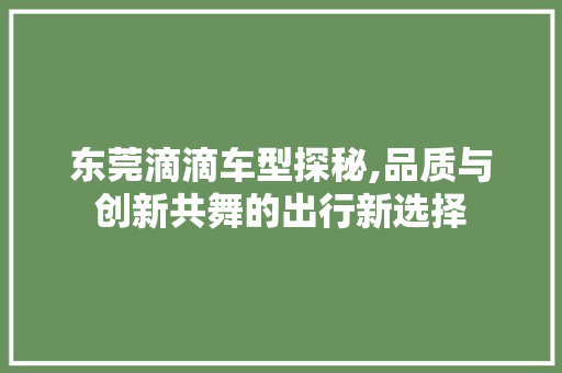东莞滴滴车型探秘,品质与创新共舞的出行新选择 蓄电池配件