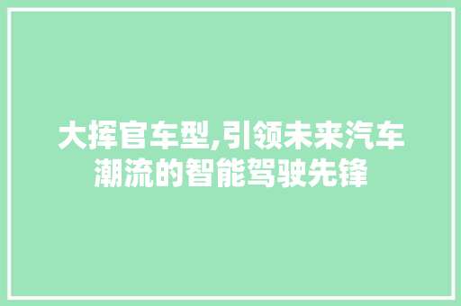 大挥官车型,引领未来汽车潮流的智能驾驶先锋