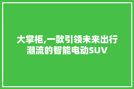 大掌柜,一款引领未来出行潮流的智能电动SUV