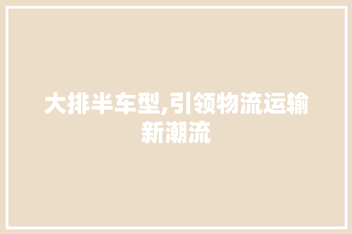 大排半车型,引领物流运输新潮流