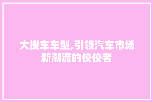 大搜车车型,引领汽车市场新潮流的佼佼者
