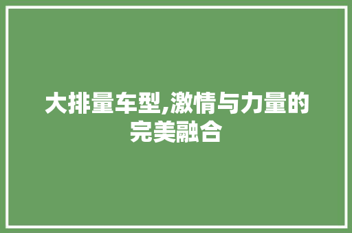 大排量车型,激情与力量的完美融合