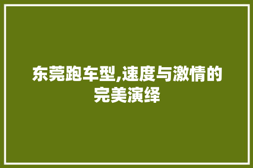 东莞跑车型,速度与激情的完美演绎 车身配件