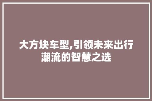 大方块车型,引领未来出行潮流的智慧之选