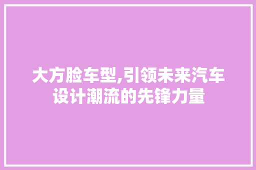 大方脸车型,引领未来汽车设计潮流的先锋力量