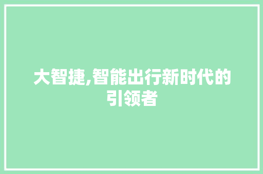 大智捷,智能出行新时代的引领者