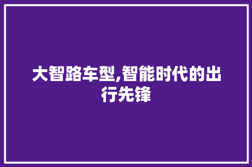 大智路车型,智能时代的出行先锋
