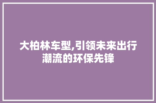 大柏林车型,引领未来出行潮流的环保先锋