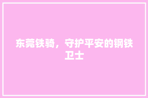 东莞铁骑，守护平安的钢铁卫士
