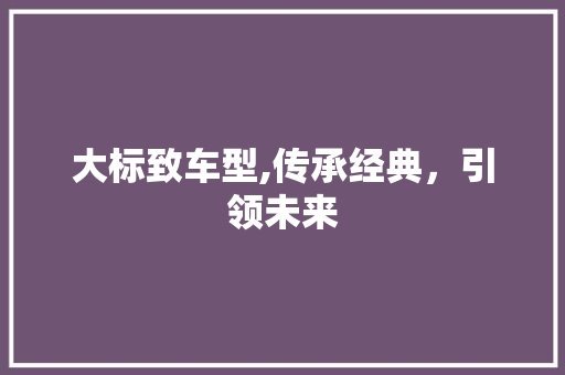 大标致车型,传承经典，引领未来