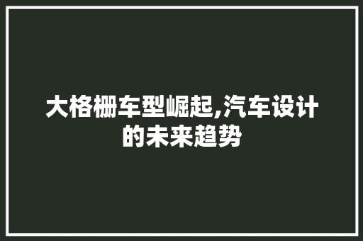 大格栅车型崛起,汽车设计的未来趋势