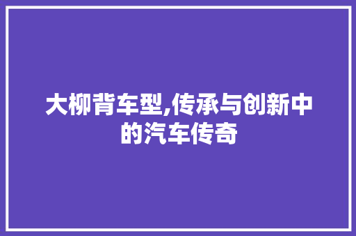 大柳背车型,传承与创新中的汽车传奇