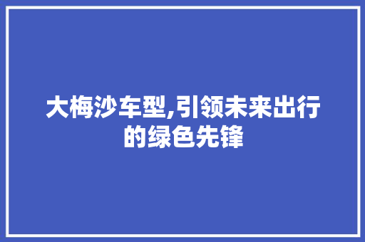 大梅沙车型,引领未来出行的绿色先锋
