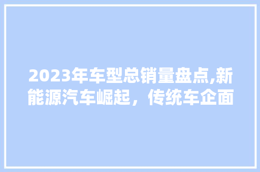 2023年车型总销量盘点,新能源汽车崛起，传统车企面临挑战