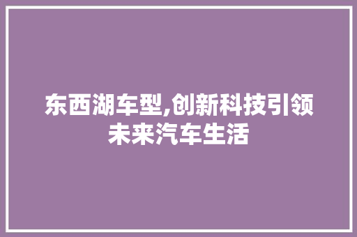 东西湖车型,创新科技引领未来汽车生活