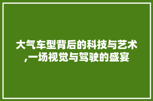 大气车型背后的科技与艺术,一场视觉与驾驶的盛宴