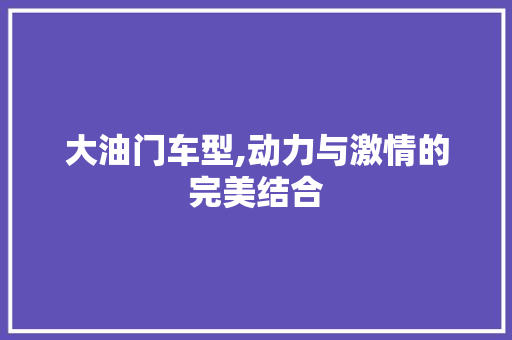 大油门车型,动力与激情的完美结合