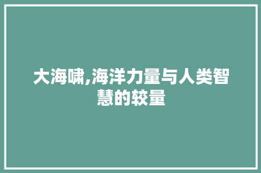 大海啸,海洋力量与人类智慧的较量