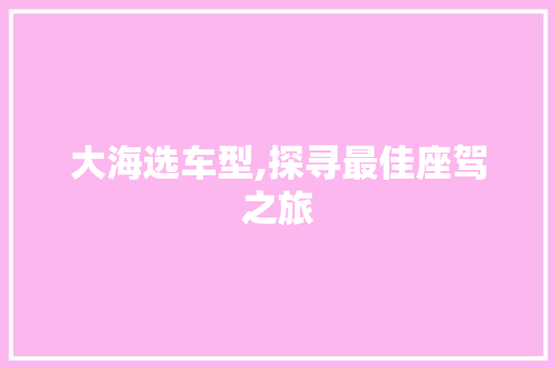大海选车型,探寻最佳座驾之旅
