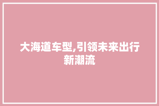大海道车型,引领未来出行新潮流
