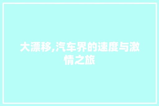 大漂移,汽车界的速度与激情之旅