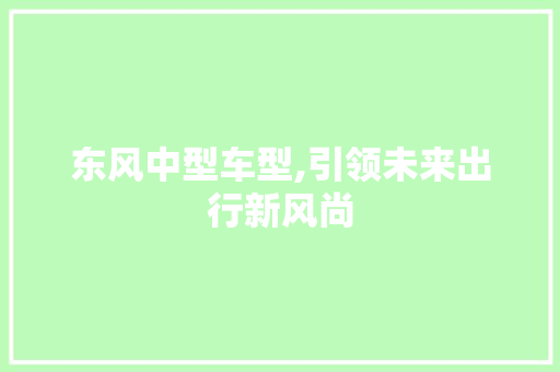 东风中型车型,引领未来出行新风尚 车灯配件