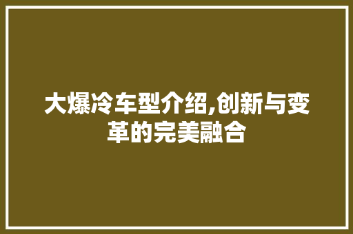 大爆冷车型介绍,创新与变革的完美融合