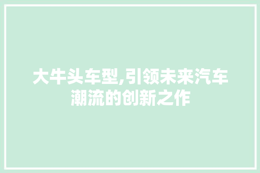 大牛头车型,引领未来汽车潮流的创新之作