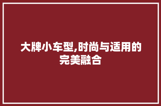 大牌小车型,时尚与适用的完美融合