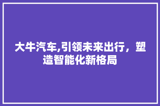 大牛汽车,引领未来出行，塑造智能化新格局